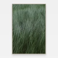 Image 1 of Myra