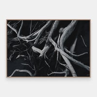 Image 1 of Floke