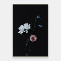 Image 1 of Unatur