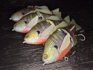 Image of 6” Ann Deluxe Xslowsink (Chameleon Male)