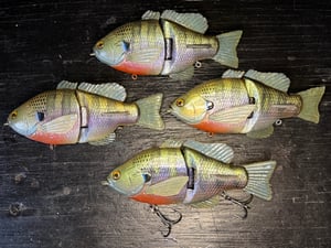 Image of 6” Ann Deluxe Xslowsink (Chameleon Male)