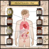 Image 3 of Forgotten Home Apothecary Book : 250 Powerful Remedies