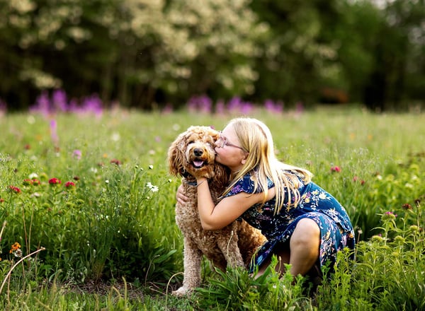Image of Wildflower Mini Sessions- Honeybee Flower Farm