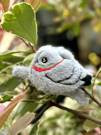 Image 2 of Fluffy Pigeon Hairclaw