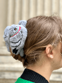 Image 1 of Fluffy Pigeon Hairclaw