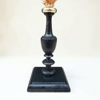 Image 8 of Coquillage escargot Bursa Rubetta sur socle en bois tourné  Napoléon III fin XIXe  