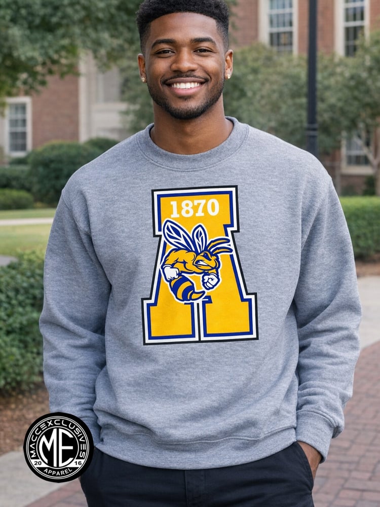 Image of ALLEN UNIVERSITY VINTAGE 