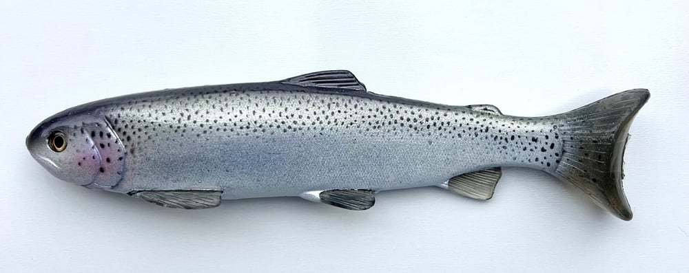 12" Line Through - T1000