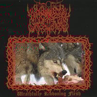 Image 1 of Appalachian Fullmoon "Wrathfully Ribboning Flesh" CD