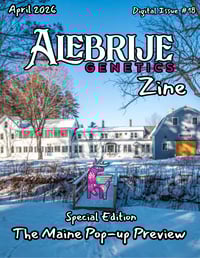 Image 1 of Maine Pop-up Ticket