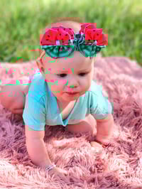 Image 5 of Watermelons