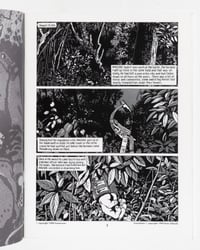 Image 3 of Drawn and Quarterly V2 No 1