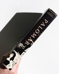 Image 9 of Palomar: The Heartbreak Soup Stories by Gilbert Hernandez