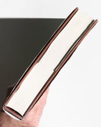 Image 12 of Palomar: The Heartbreak Soup Stories by Gilbert Hernandez