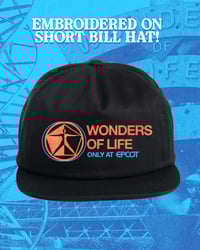 Wonders of Life Hat