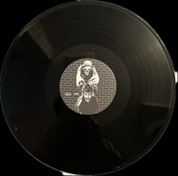 Image 3 of New Record Release! Disposable Dogs “ Living In The Fallout “ LP Vinyl