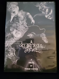 Image 1 of A Kestrel Hive