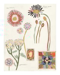 Image 1 of Flowers 