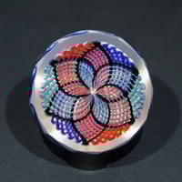 Image 1 of Nova Bloom