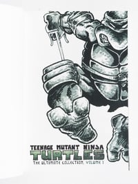 Image 3 of Teenage Mutant Ninja Turtles Ultimate Collection