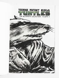Image 13 of Teenage Mutant Ninja Turtles Ultimate Collection
