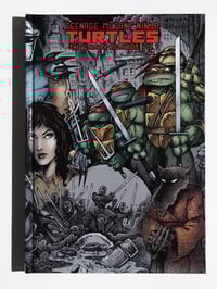 Image 2 of Teenage Mutant Ninja Turtles Ultimate Collection