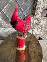 Image 2 of Cardinal