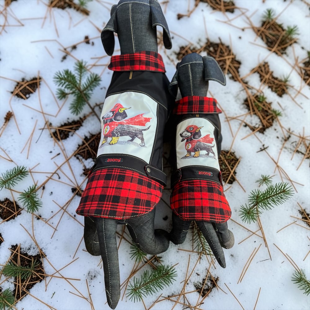 Image of Built For Speed