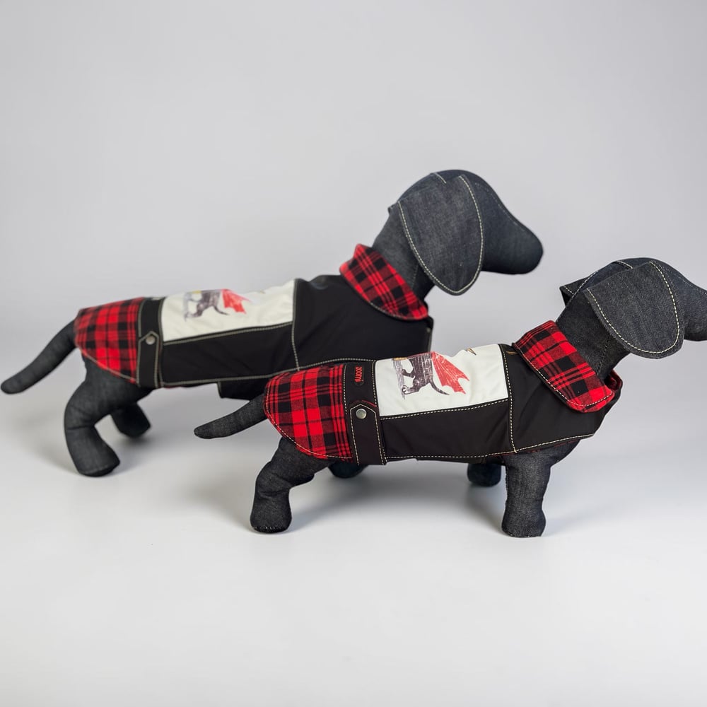 Image of Built For Speed