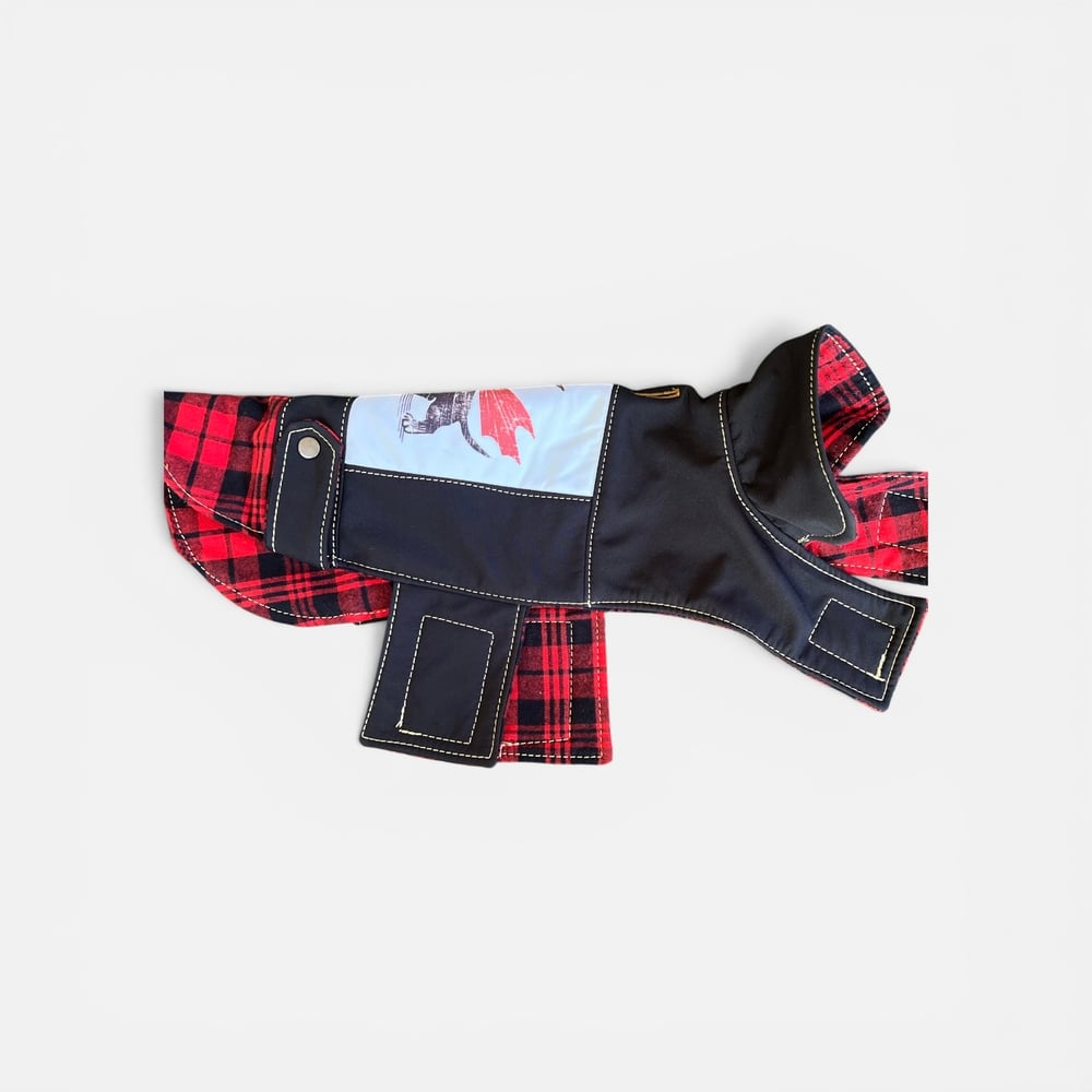 Image of Built For Speed