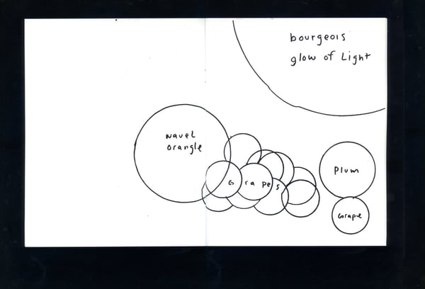 Image 4 of THE CIRCLE DRAWINGS - Kevin McNamee-Tweed