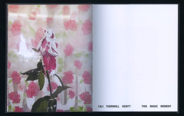 Image 3 of THIS MAGIC MOMENT special edition - Cali DeWitt