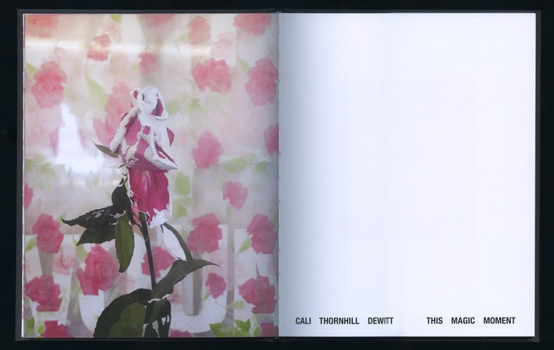 Image 3 of THIS MAGIC MOMENT special edition - Cali DeWitt