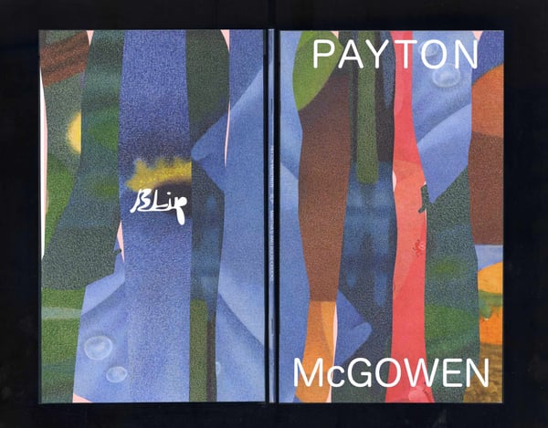 Image 2 of BLIP - Payton McGowen