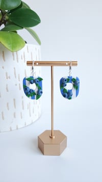 Image 1 of Blueberry Patch Kellys