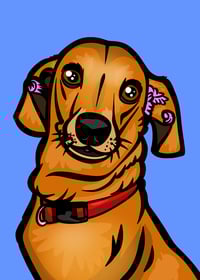 Custom Digital Pet Portrait 