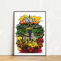 Image 1 of Affiche SVOLTA
