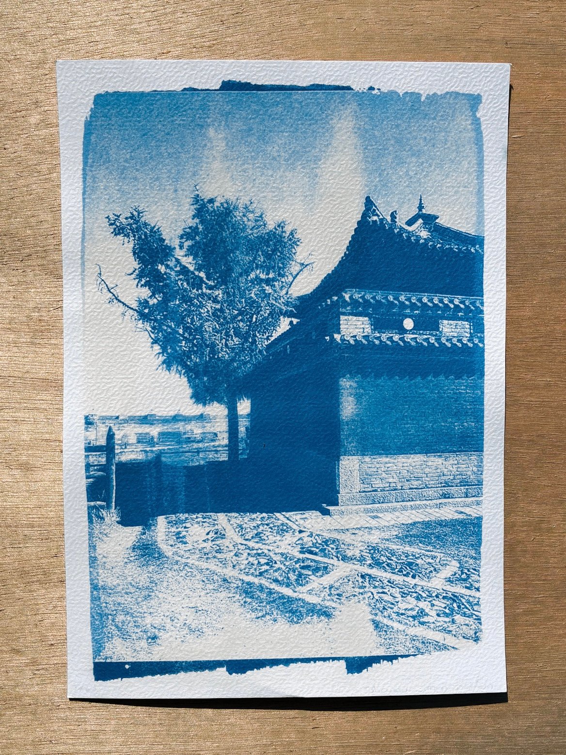 A5 cyanotype print - Mongolia V