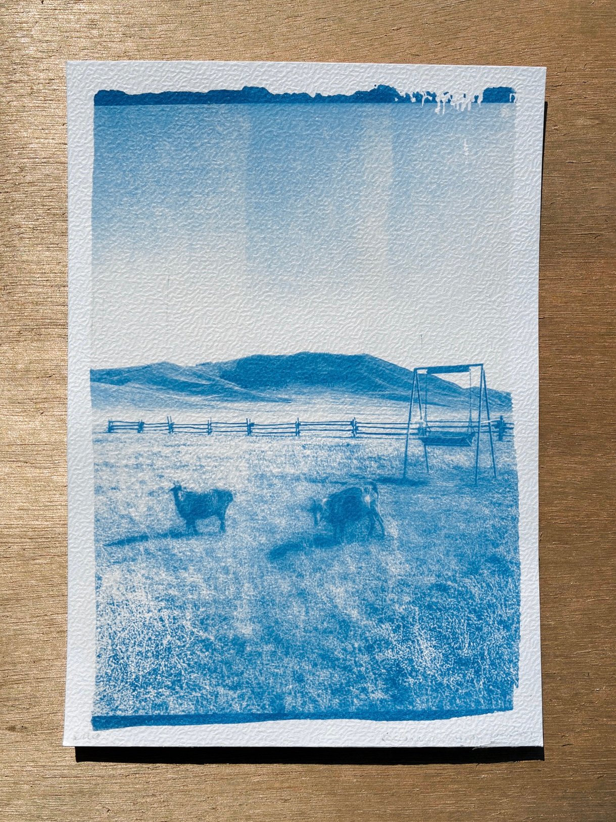 A5 cyanotype print - Mongolia III