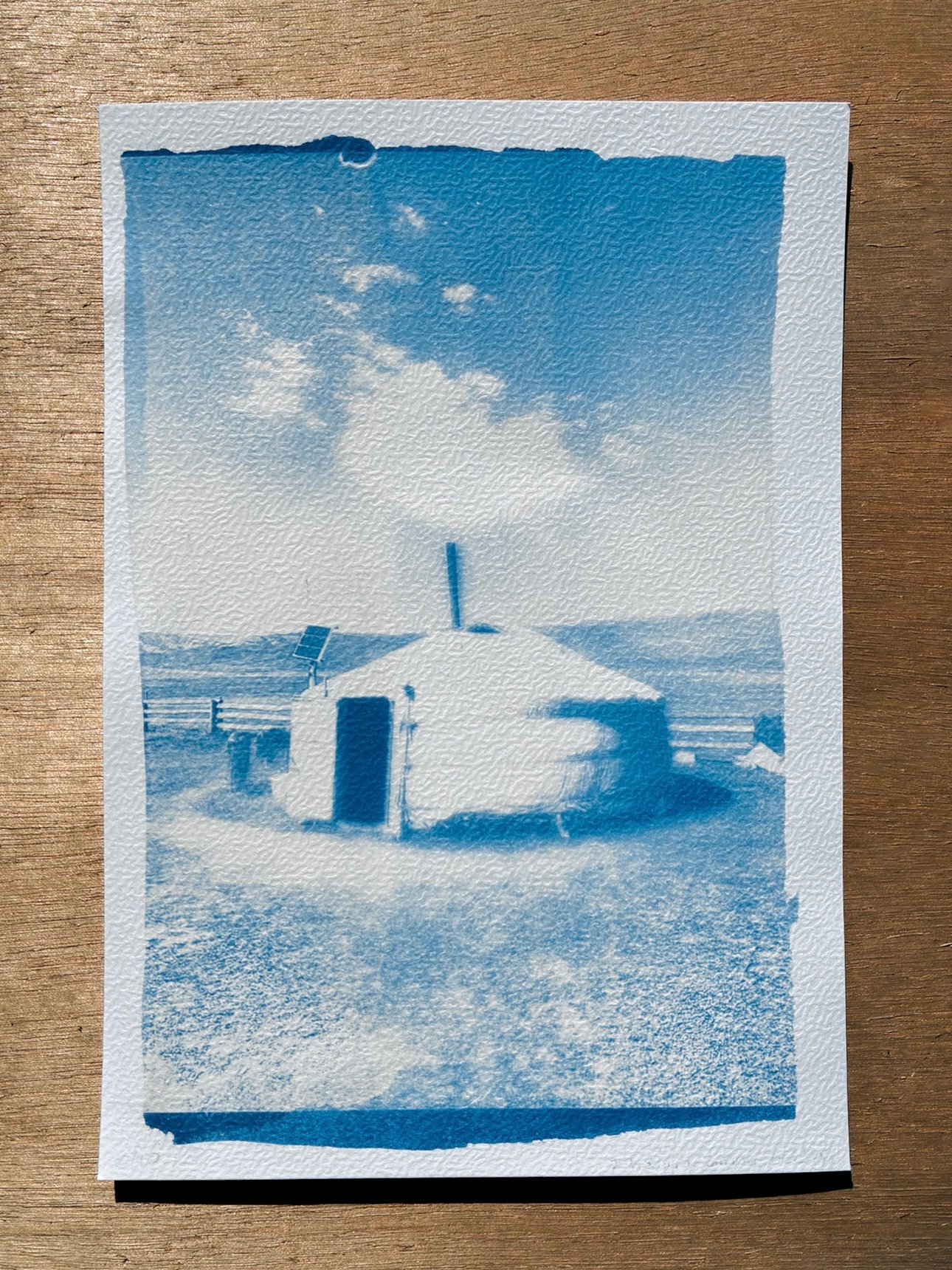A5 cyanotype print - Mongolia II