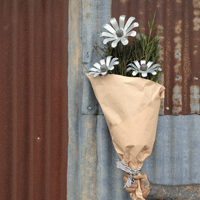 Image 1 of Everlasting Flower Posy | Galvanised Daisy