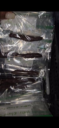 Image 2 of Wax blunts 