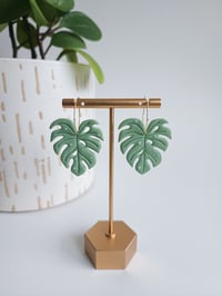 Image 1 of Monstera Dangles (L)