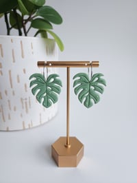 Image 2 of Monstera Dangles (L)