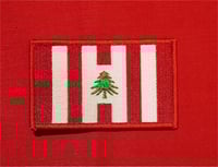 Image 1 of Pine Tree Stripes