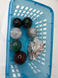 Carnitacoleman BASKET 3