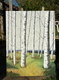 Image 4 of 'Silver Linings' 