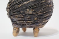 Image 5 of Sedimento #3