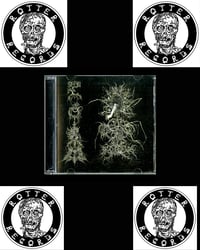 Image 1 of COSMOPHAGE - Sidereal Malignancy CD