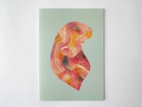 Image 1 of Bracken book